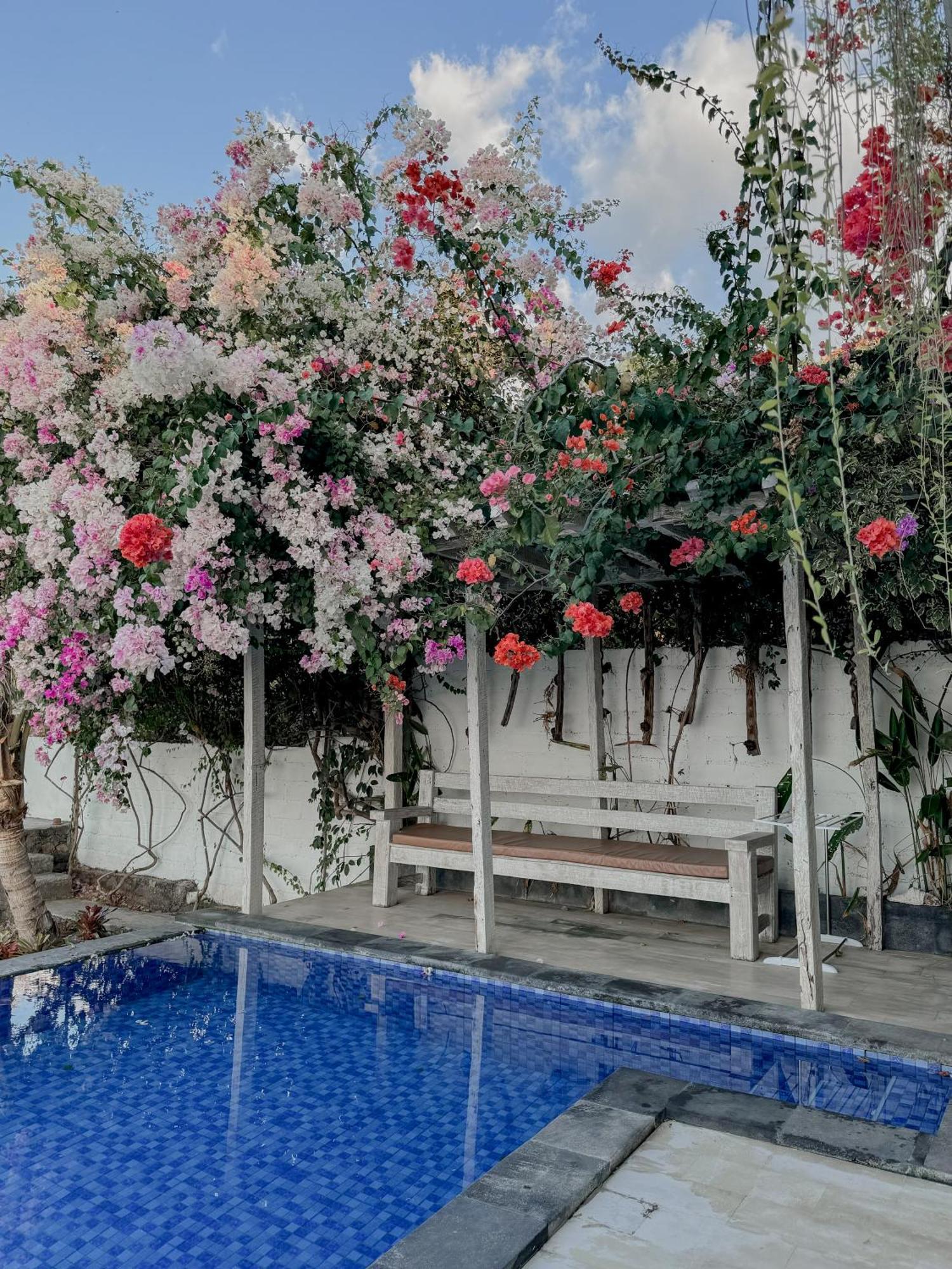 Villa Bukit Sing Sing Сингараджа Экстерьер фото